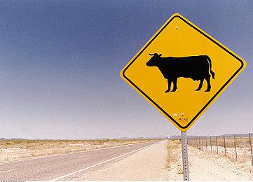 《铁路日本！轨道之旅EX 登山电车 小田急箱根篇》Steam页面上线 本月发售